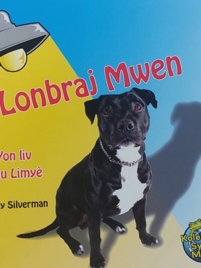 Lonbraj Mwen / Yon liv Sou Limyè