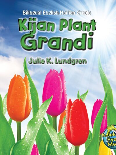 Kijan Plant Grandi